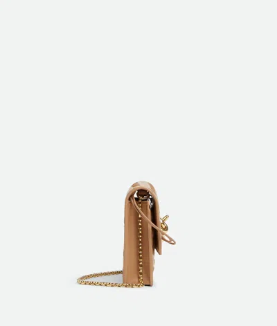 Bottega Veneta Leather Andiamo Chain Wallet In Brown
