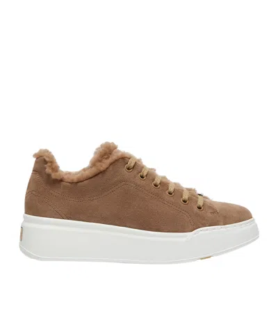 Max Mara Suede And Teddy Fabric Trainers In Brown
