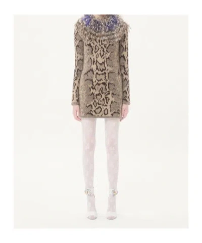 Valentino Kaschmirkleid Mit Animalprint Und Federn Frau Animalier S In Multi