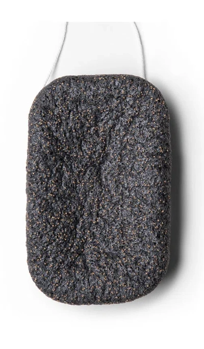 Everist The Exfoliating Compostable Konjac Body Sponge