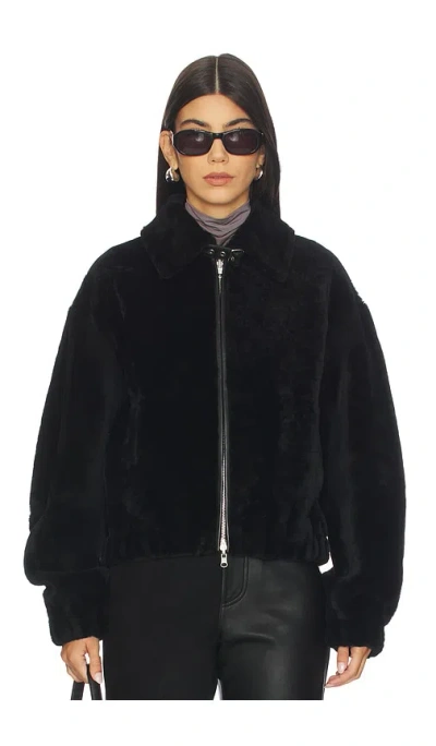 Helmut Lang Shearling Bomber In Black