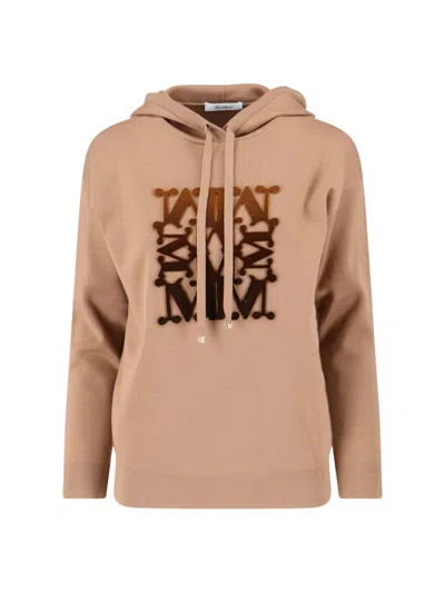 Max Mara Virgin Wool Hoodie In Brown