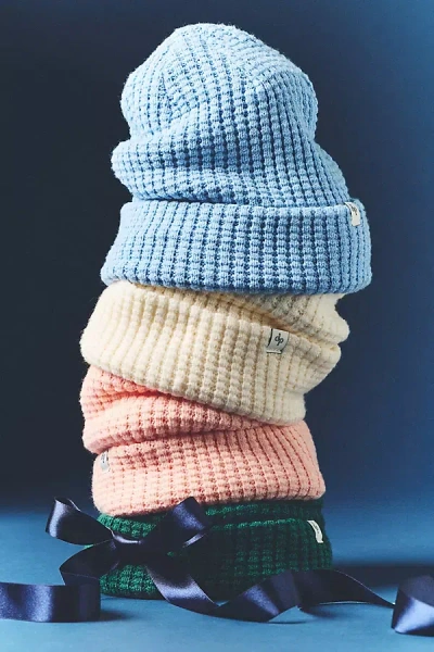 Daily Practice Waffle-knit Beanie In Multi