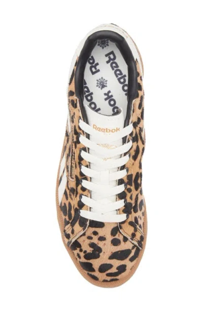 Reebok Club C Grounds Uk Sneakers Vintage Leopard In Brown