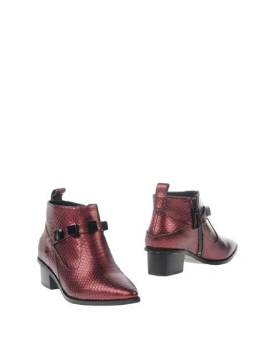 Kat Maconie Ankle Boots In Maroon