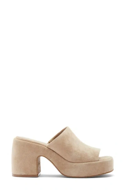 Steve Madden Shanton Platform Slide Sandal In Brown