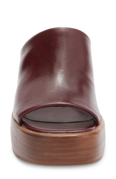 Steve Madden Shanton Platform Slide Sandal In Burgundy
