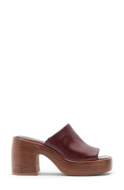 Steve Madden Shanton Platform Slide Sandal In Burgundy