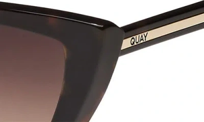 Quay Set In Stone In Brown