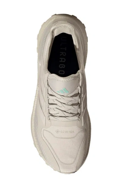 Adidas Originals Womens Adidas Ultraboost 5 Gore-tex Running In Pink