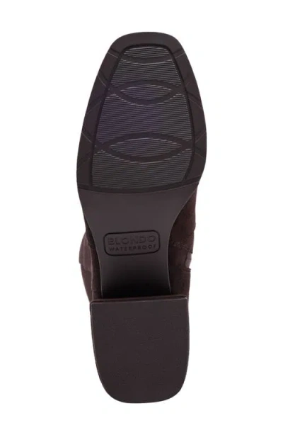 Blondo Flair Waterproof Knee High Boot In Brown