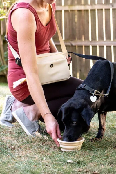 Puppington 3-in-1 Dog Walking Bag With Waste Bags Plus Travel Bowl And Reflective Leash