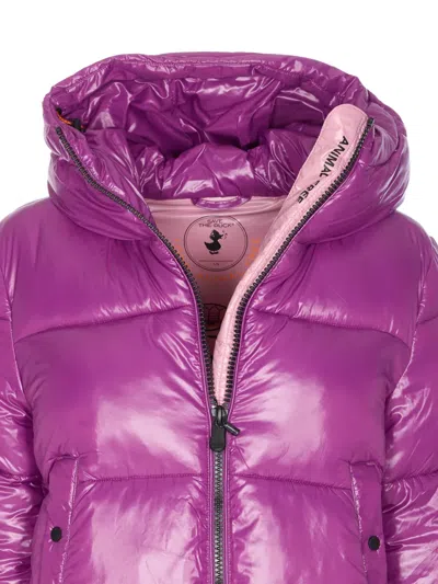 Save The Duck Purple Down Jacket Frontal Zip Closure In Purple