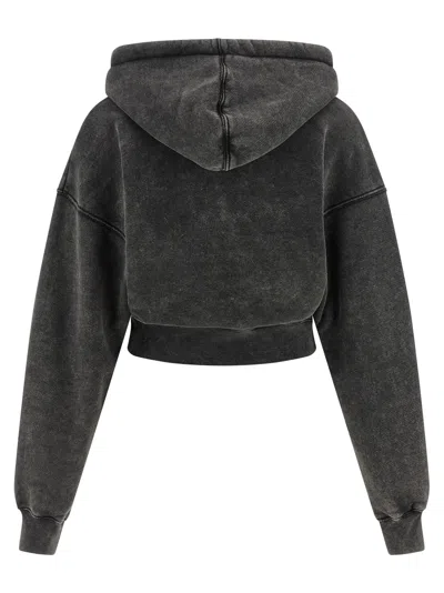 Off-white Cropped Hoodie Plaid Patch In Brown