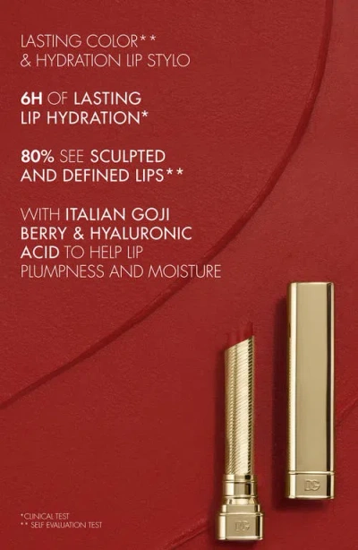 Dolce & Gabbana My Sculpt Satin Lip Stylo In Red