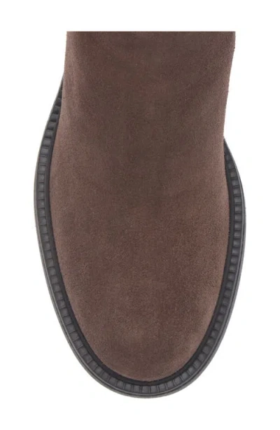 Tod's Gomma T60 73l Tronchetto Elast. Boots Brown In Multi