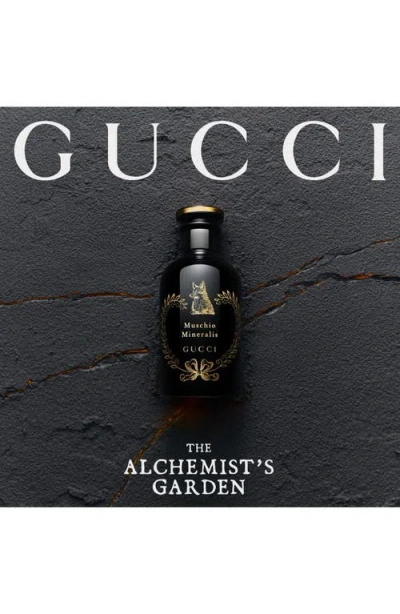 Gucci The Alchemist's Garden In Transparent