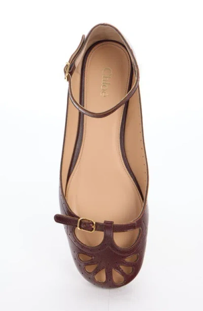 Chloé Flat Shoe With Burnished Look Made In Italy In Animal Print
