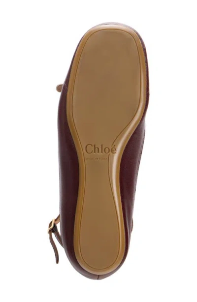 Chloé Flat Shoe With Burnished Look Made In Italy In Animal Print