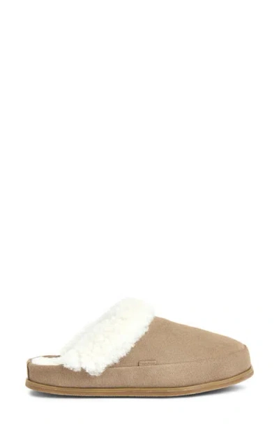 Hari Mari Tia Genuine Shearling Lined Slipper In Brown