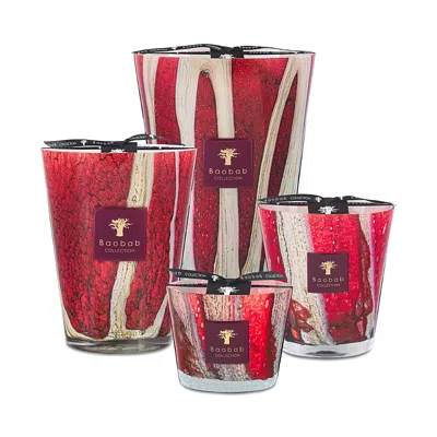 Baobab Collection Max 10 Woods Risoud Candle, 17.6 Oz. In Multi