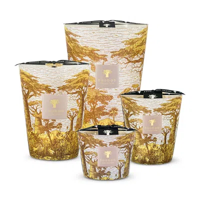Baobab Collection Max 10 Sacred Trees Boukani Candle, 17.6 Oz. In Multi