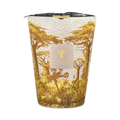 Baobab Collection Max 24 Sacred Trees Boukani Candle, 105.76 Oz. In Multi