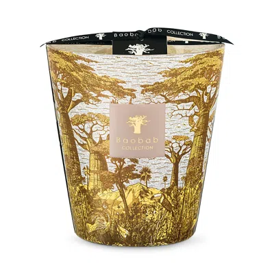 Baobab Collection Max 16 Sacred Trees Boukani Candle, 38.72 Oz. In Multi