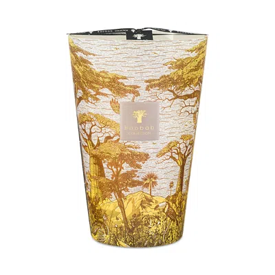 Baobab Collection Max 35 Sacred Trees Boukani Candle, 229.12 Oz. In Multi