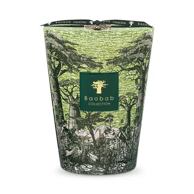 Baobab Collection Max 24 Sacred Trees Touba Candle, 105.76 Oz. In Multi