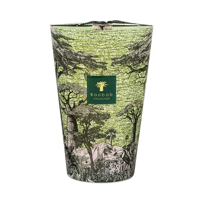 Baobab Collection Max 35 Sacred Trees Touba Candle, 229.12 Oz. In Green