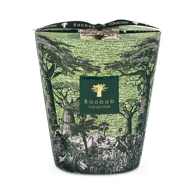 Baobab Collection Max 16 Sacred Trees Touba Candle, 38.72 Oz. In Multi