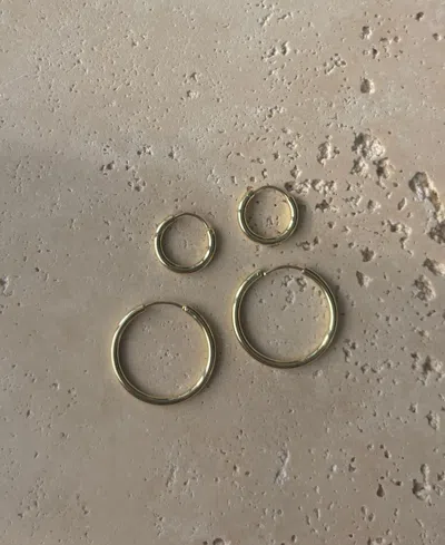 Adornia 14k Plated Set Of 2 Endless Hoop Earrings In Gold