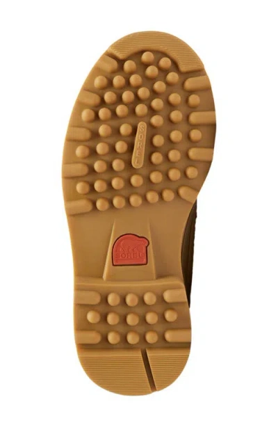 Sorel Caribou Royal Waterproof Canvas Boot In Brown