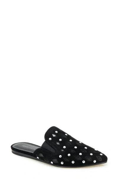 Splendid Linna Pointed Toe Mule In Black