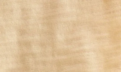 Nordstrom Graphic T-shirt & Drawstring Shorts Set In Multi