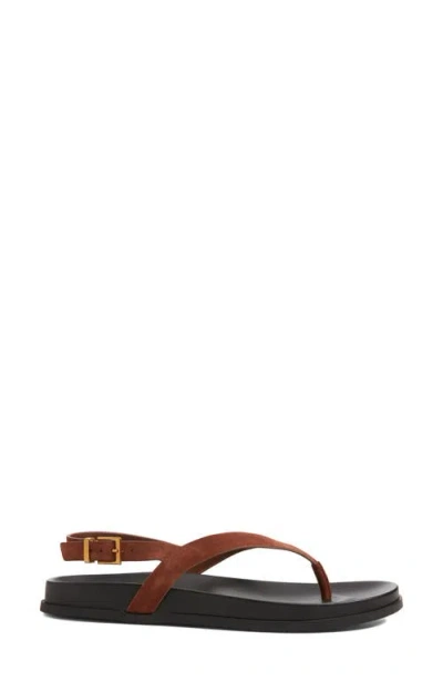 Open Edit Delphi Sandal In Brown