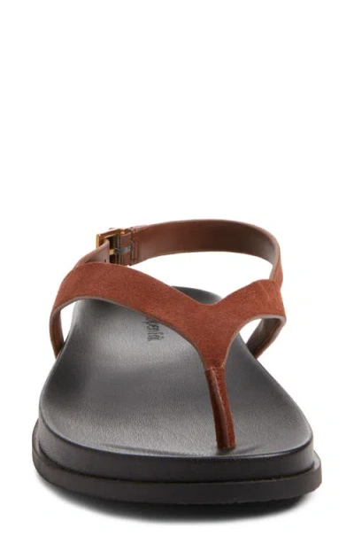 Open Edit Delphi Sandal In Brown