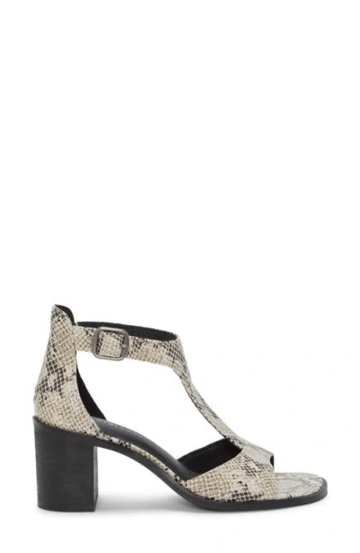 Lucky Brand Women's Sabeni T-strap Block-heel City Sandals In Animal Print