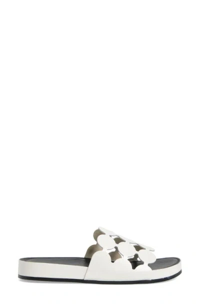 Cecelia New York Emily Slide Sandal In Multi