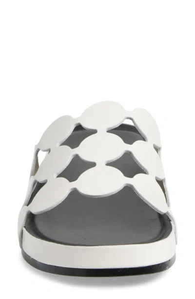 Cecelia New York Emily Slide Sandal In Multi