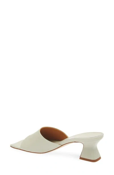 Aeyde Ale Slide Sandal In Multi