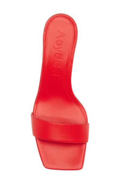 Aeyde Ilvy Slide Sandal In Multi