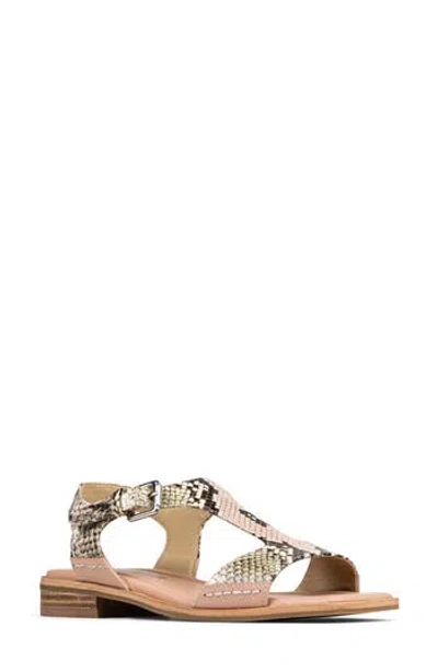 Donald Pliner Dria T-strap Sandal In Multi