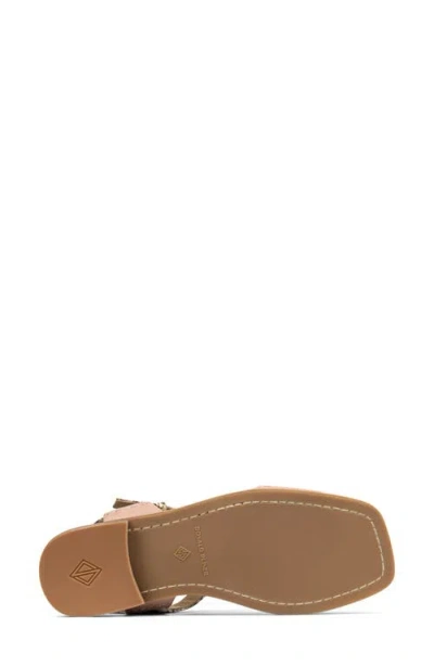 Donald Pliner Dria T-strap Sandal In Multi