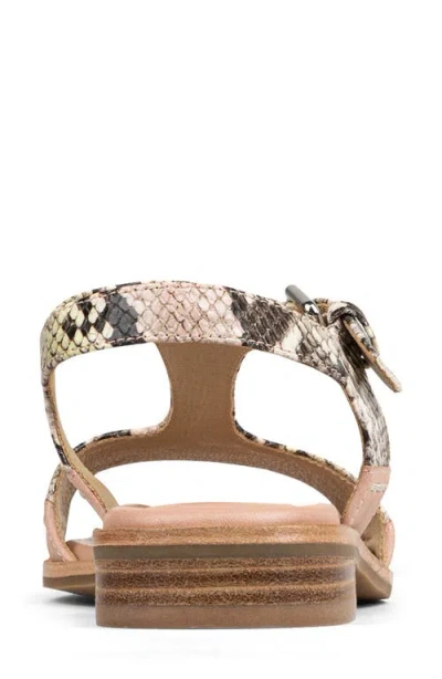Donald Pliner Dria T-strap Sandal In Multi