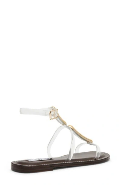 Steve Madden Alma Gladiator Sandal In Transparent