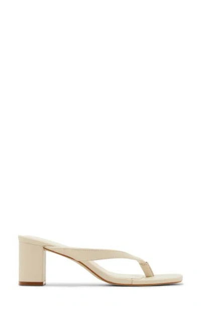 Steve Madden Dodie Block Heel Sandal In Brown