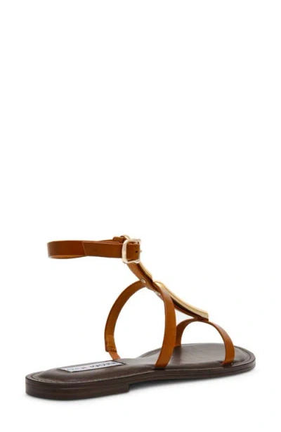 Steve Madden Alma Gladiator Sandal In Tan Leather
