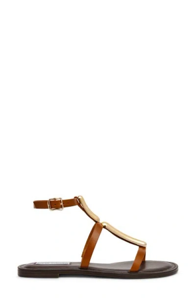 Steve Madden Alma Gladiator Sandal In Tan Leather